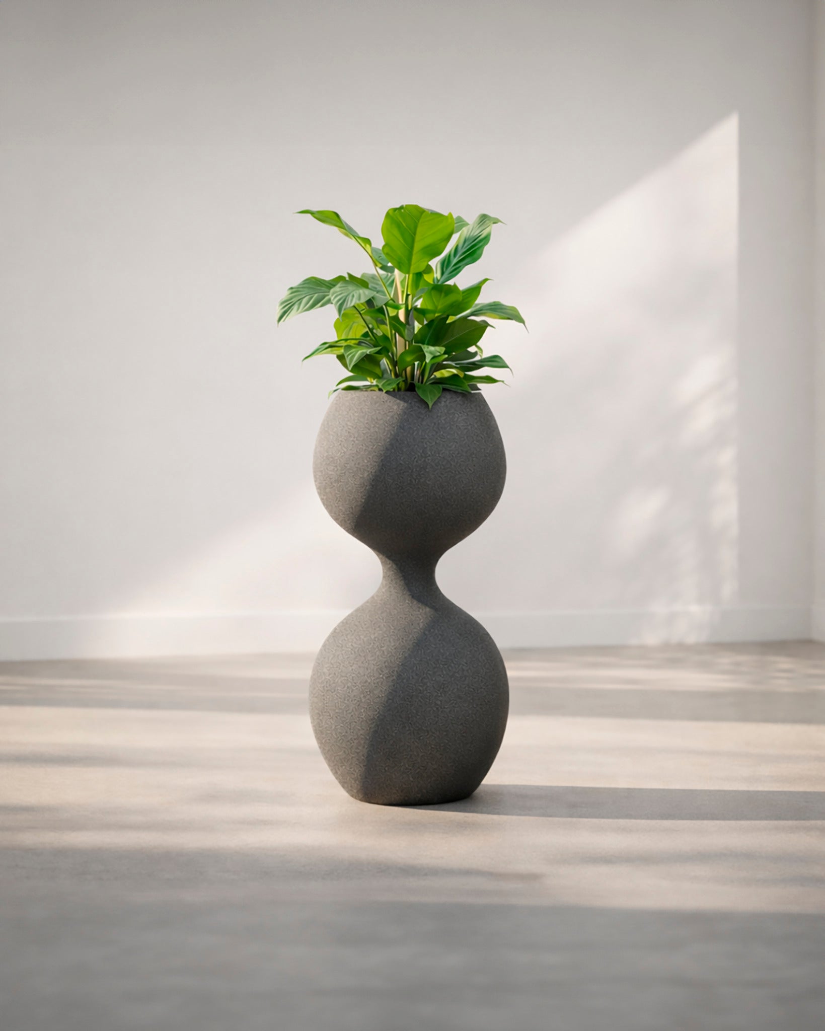 Balance